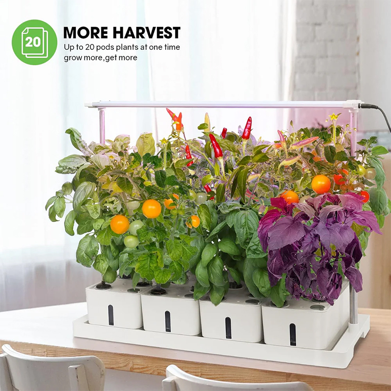 20 Pods Hydroponics Growing System Kit w/ LED Grow Light & Timer – Indoor/Outdoor Herb Garden More Harvest