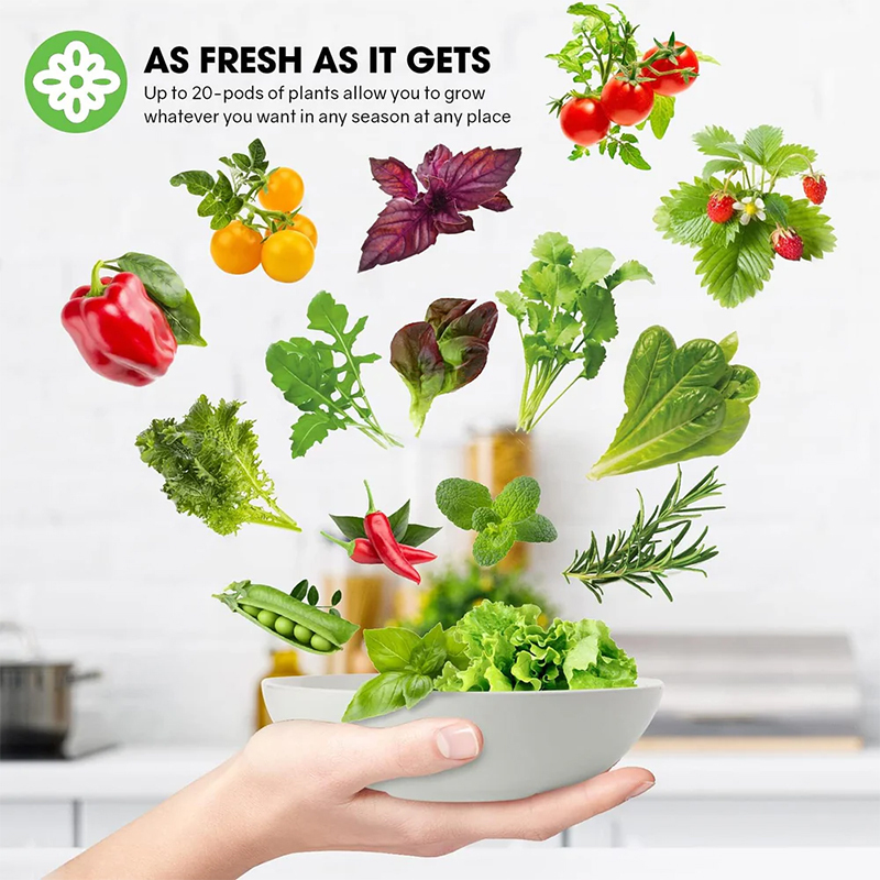 20 Pods Hydroponic System Kit, LED Grow Light Timer Indoor Herb Garden, As Fresh as it Gets