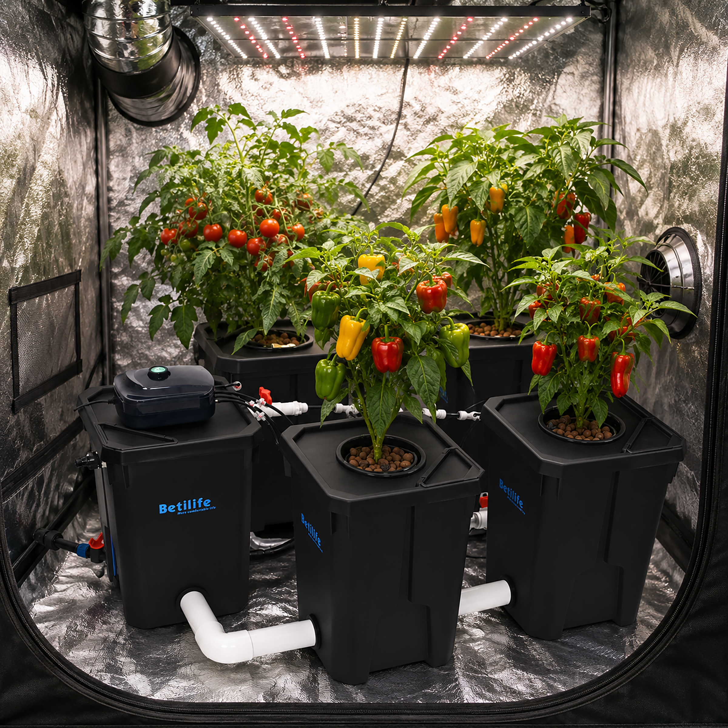 4 Buckets RDWC System 7-Gallon/27L for Sale & Wholesale – BetiLife™
