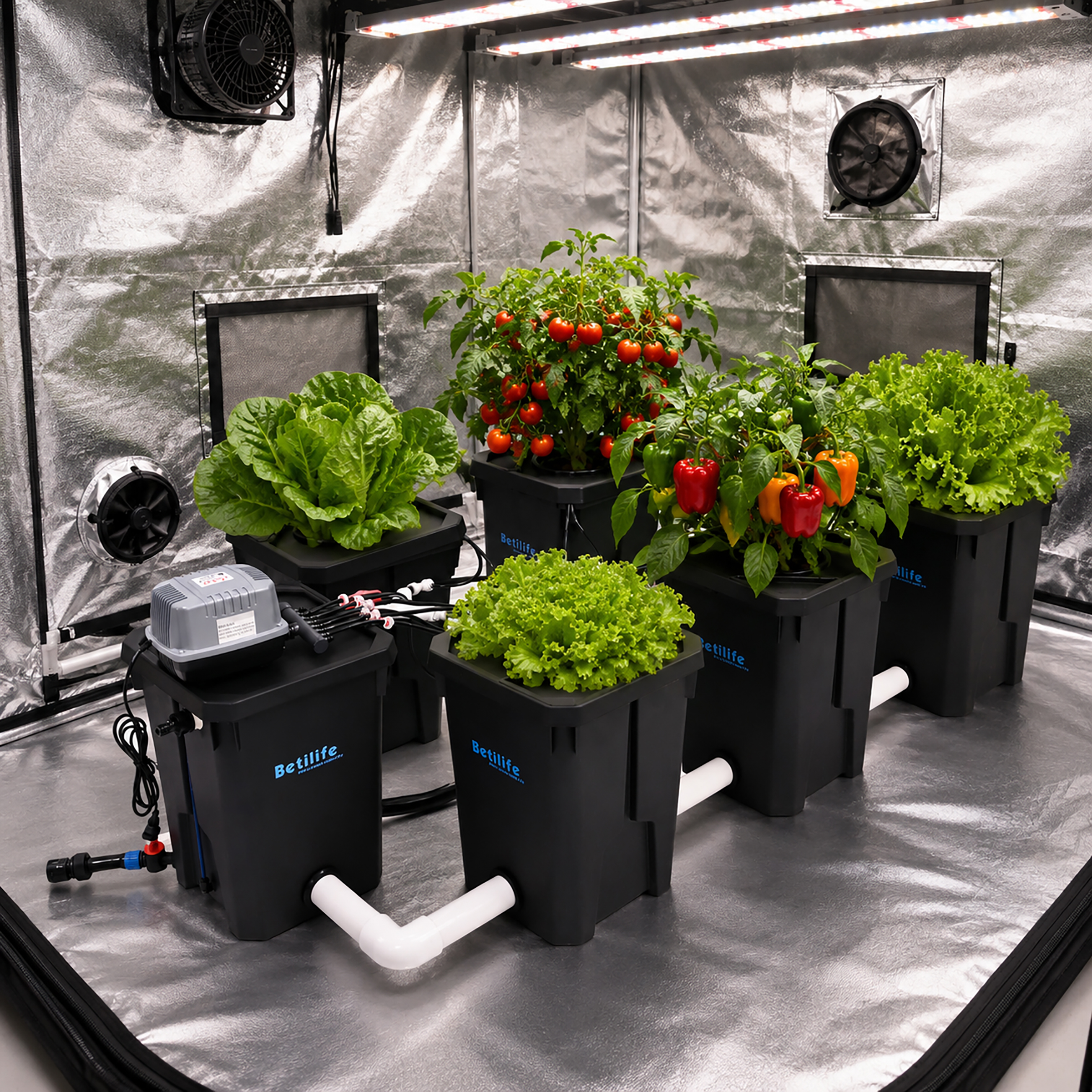 Betilife 6 Buckets RDWC Hydroponic System 7 Gallon 27L Planting Scene Inside Greenhouse Tent