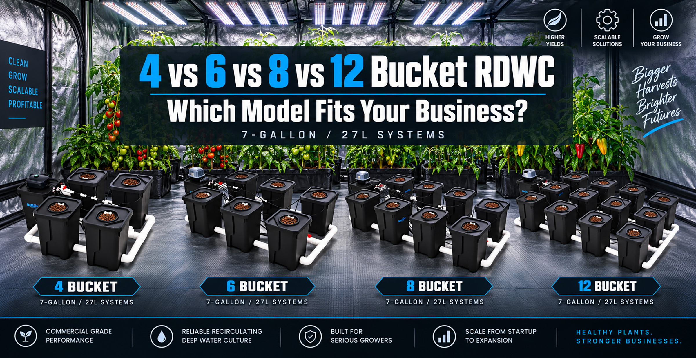 4 Bucket vs 6 Bucket vs 8 Bucket vs 12 Bucket RDWC: Which Model Fits Your Business?
