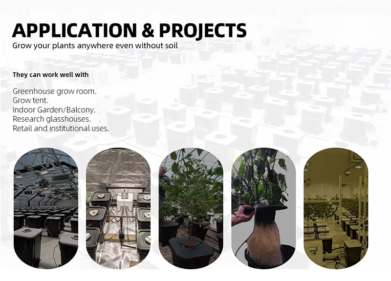 4-Pot Site DWC Aeroponics System Growing Kits 5 Gallon (20L) Product Application Scenarios