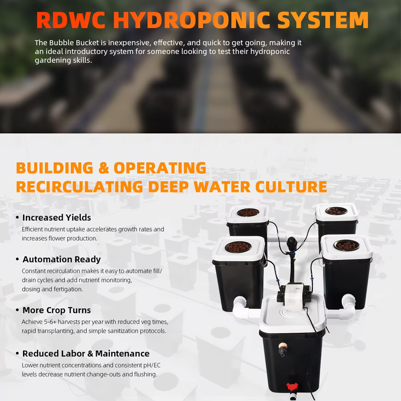 4 Sites 5 Gallon(20L) Bubble Flow Buckets RDWC Hydroponic System Kits