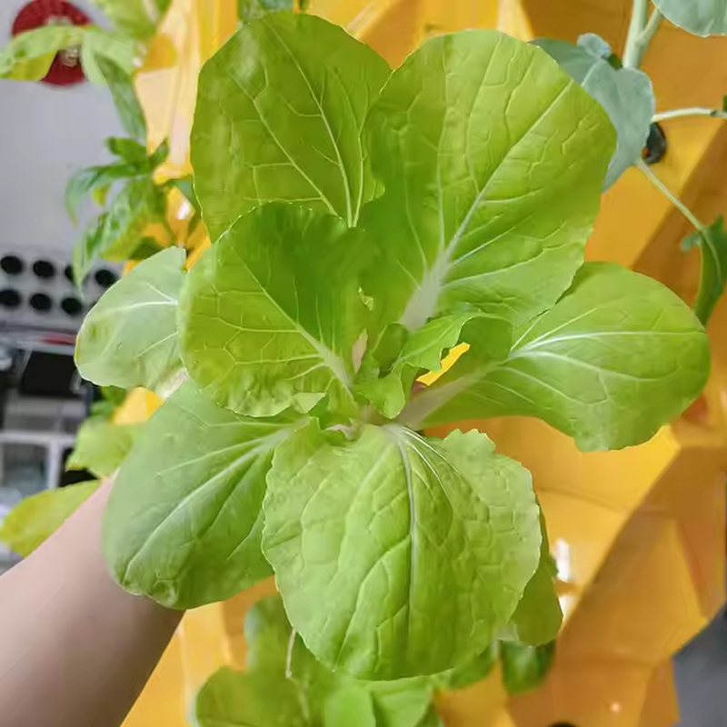 48-80 Pods Hydroponic Garden Tower, Vertical Garden Growing System Kits, Vegetable planting results display