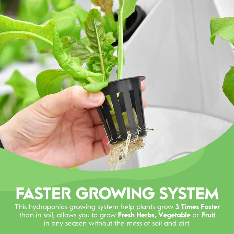 {"default":"Faster Growing System"}
