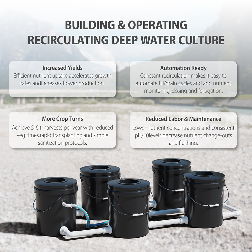 Advantages of the 5 Buckets RDWC Hydroponic System Set 5-Gallon/16L
