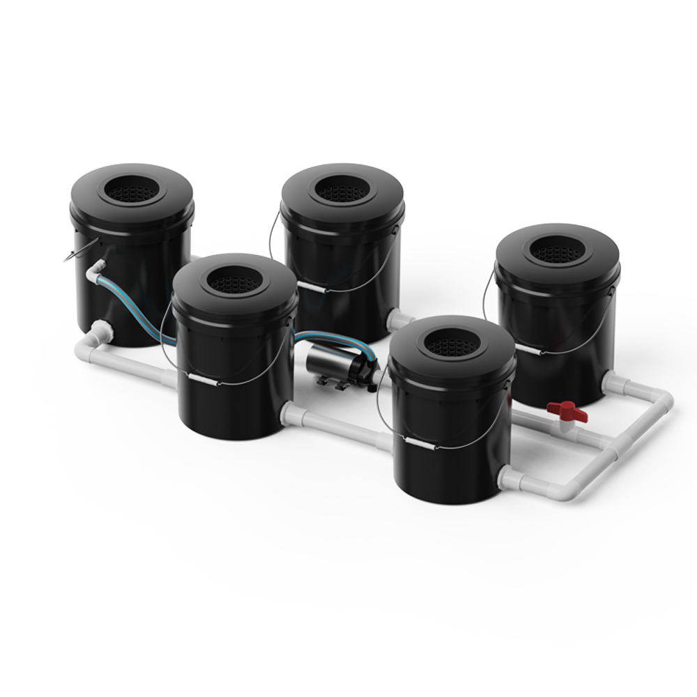 5 Buckets RDWC Hydroponic System Set 5-Gallon/16L for Sale