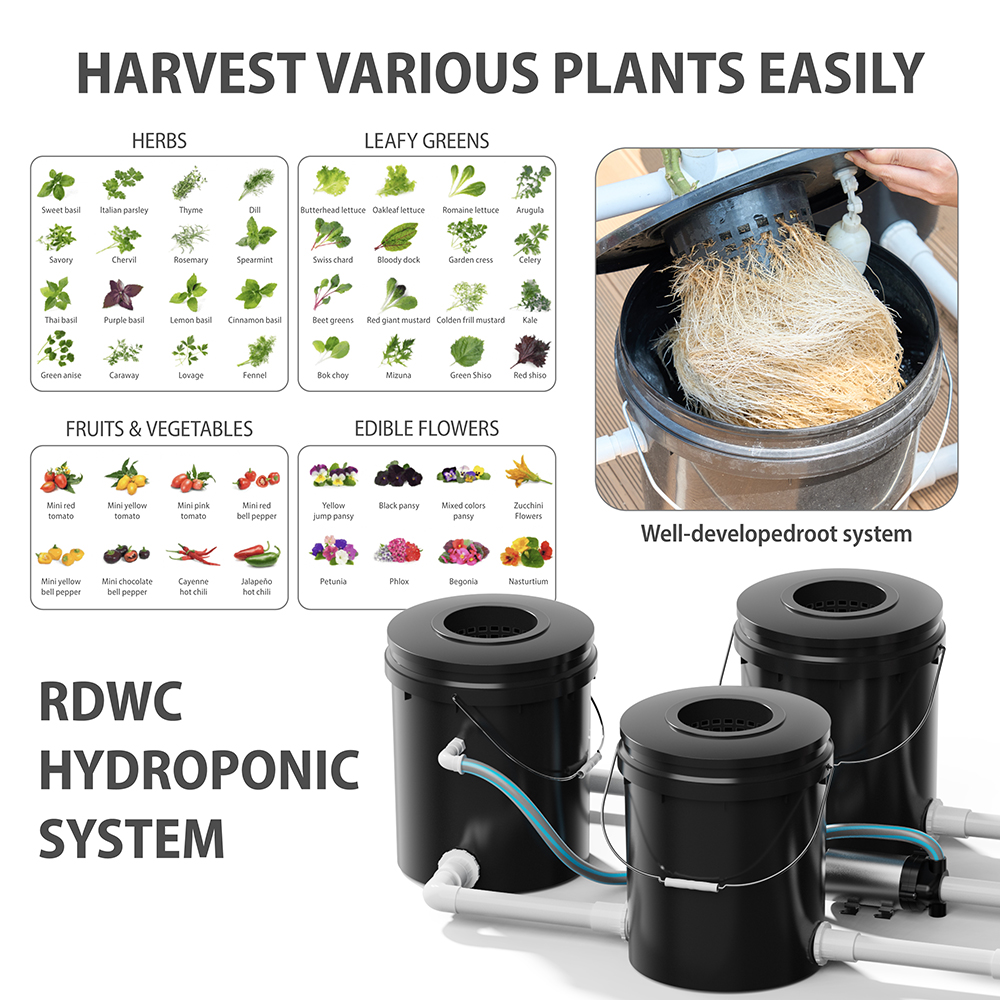 5 Buckets RDWC Hydroponic System Set 5-Gallon/16L: Applications and Planting Range