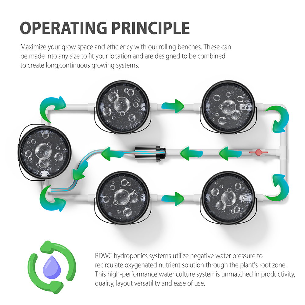 Schematic diagram of the planting principle of 5 Buckets RDWC Hydroponic System Set 5-Gallon/16L