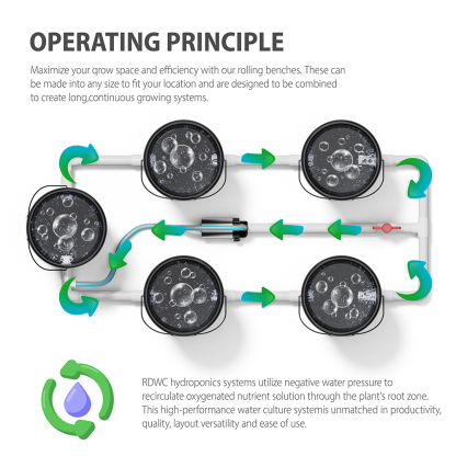 Schematic diagram of the planting principle of 5 Buckets RDWC Hydroponic System Set 5-Gallon/16L