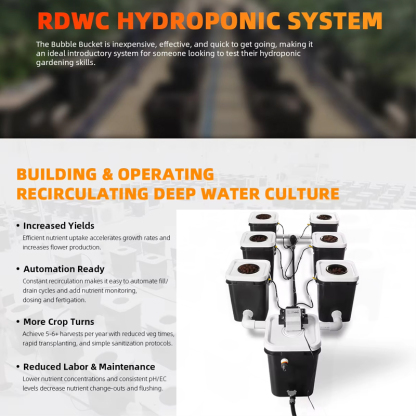 6 Sites 5 Gallon(20L) Recirculating Deep Water Culture Hydroponic System Kits