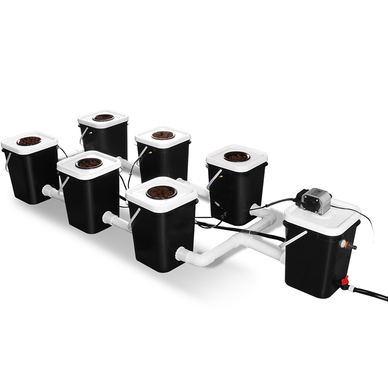 6 Sites 5 Gallon(20L) Recirculating Deep Water Culture Hydroponic System Kits