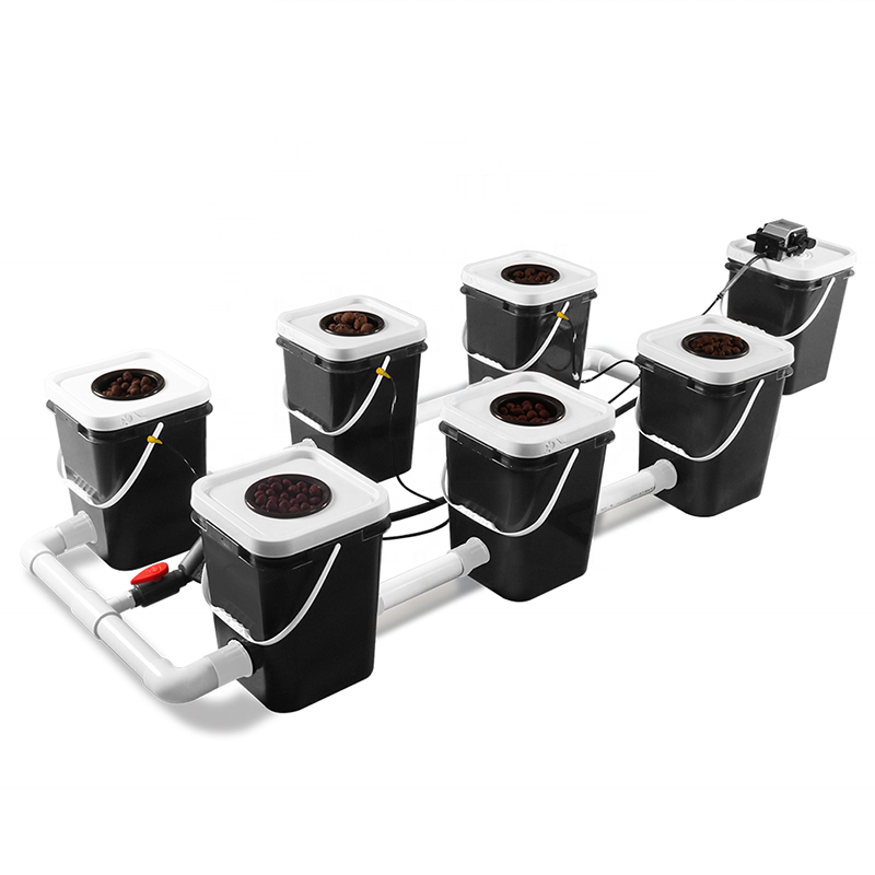 6 Sites 20L Recirculating Deep Water Culture Hydroponic System Kits