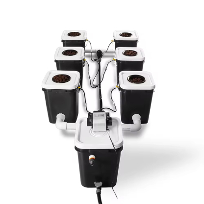 6 Sites 5 Gallon(20L) Recirculating Deep Water Culture Hydroponic System Kits