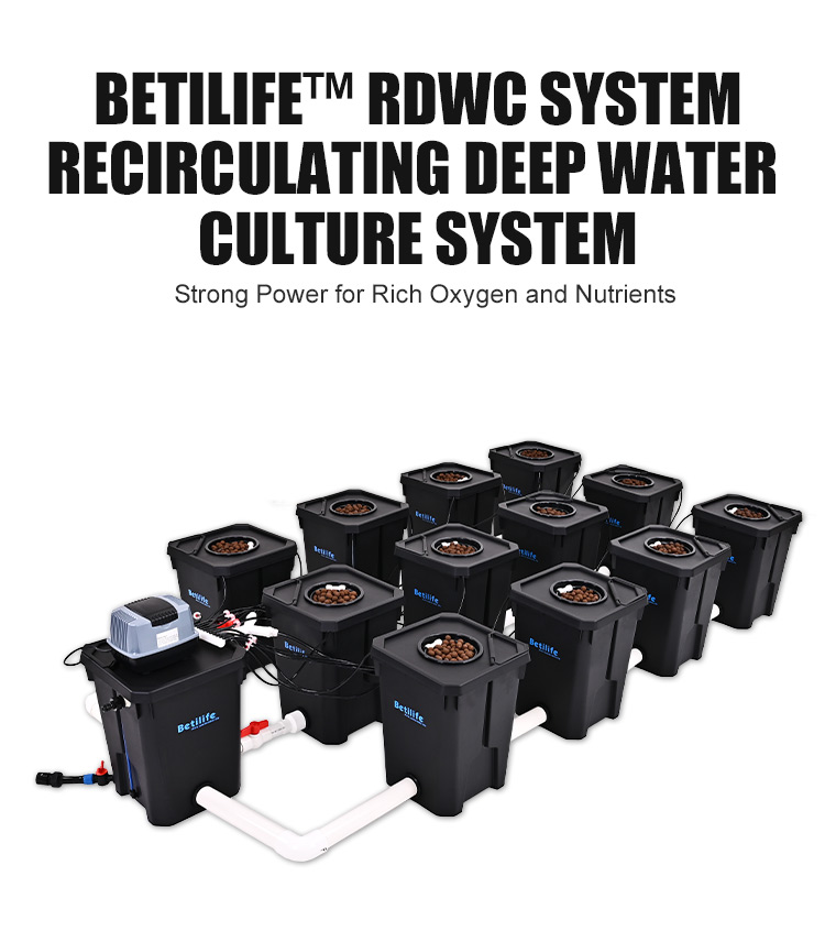 Betilife RDWC Product Details 12 Buckets RDWC Hydroponic System 7 Gallon 27L Introduction Banner