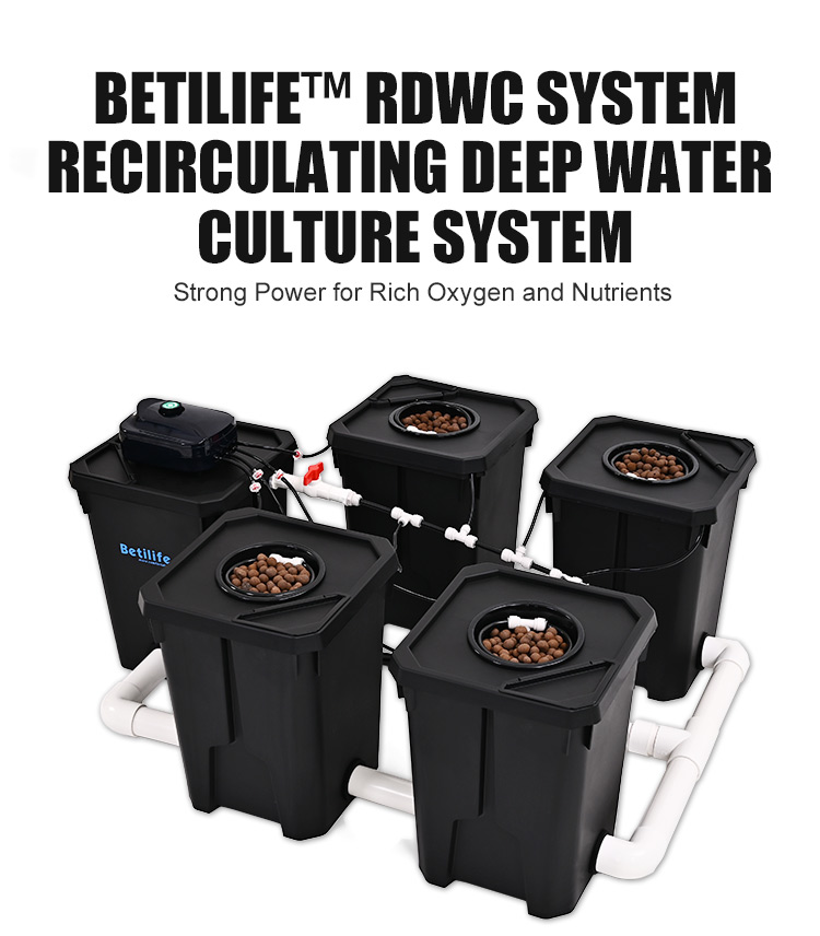 7 01 Betilife RDWC Product Details 4 Buckets RDWC Hydroponic System 7 Gallon 27L Detailed Introduction Banner