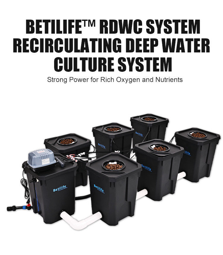 Betilife RDWC Product Details 6 Buckets RDWC Hydroponic System 7 Gallon 27L Detailed Introduction Banner