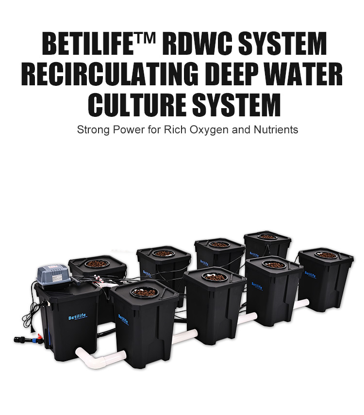 Betilife RDWC Product Details 8 Buckets RDWC Hydroponic System 7 Gallon 27L Introduction Banner