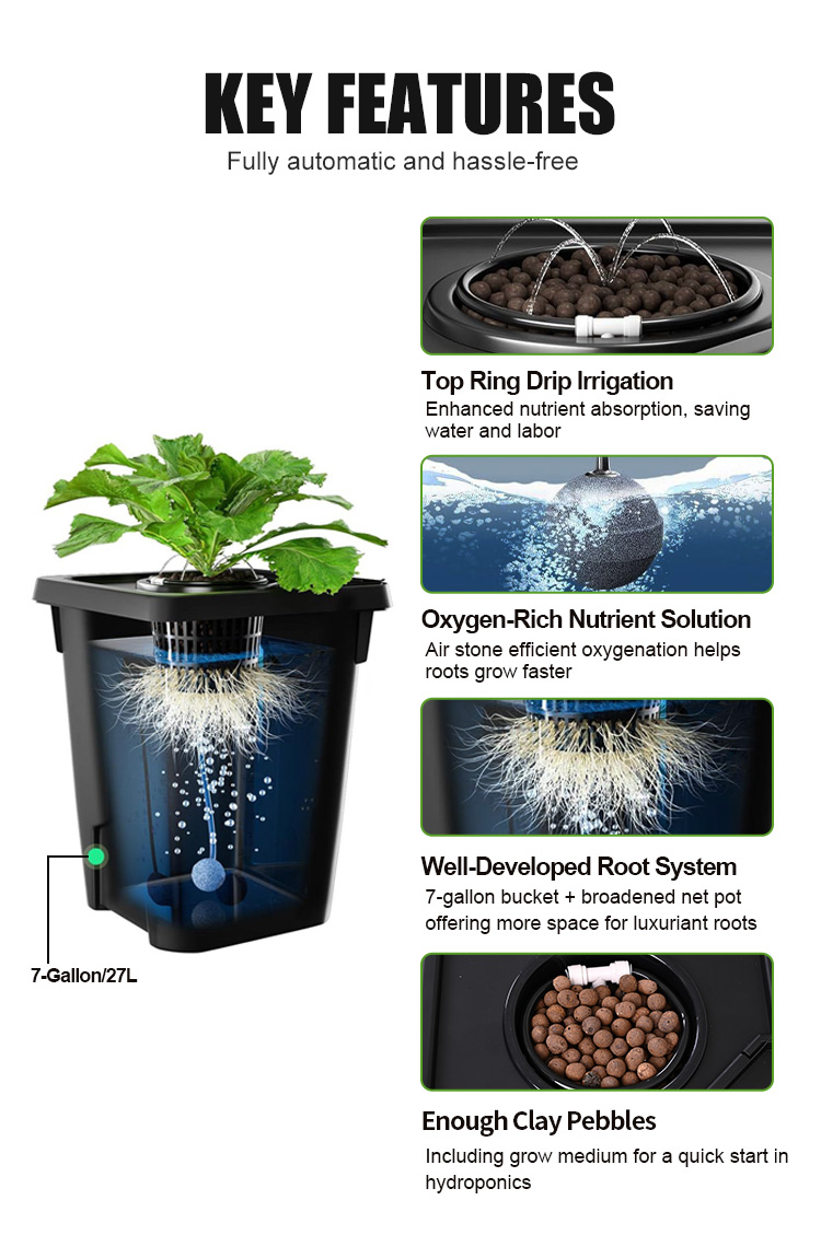 Betilife RDWC Product Details 12 Buckets RDWC Hydroponic System 7 Gallon 27L Introduction Key Features