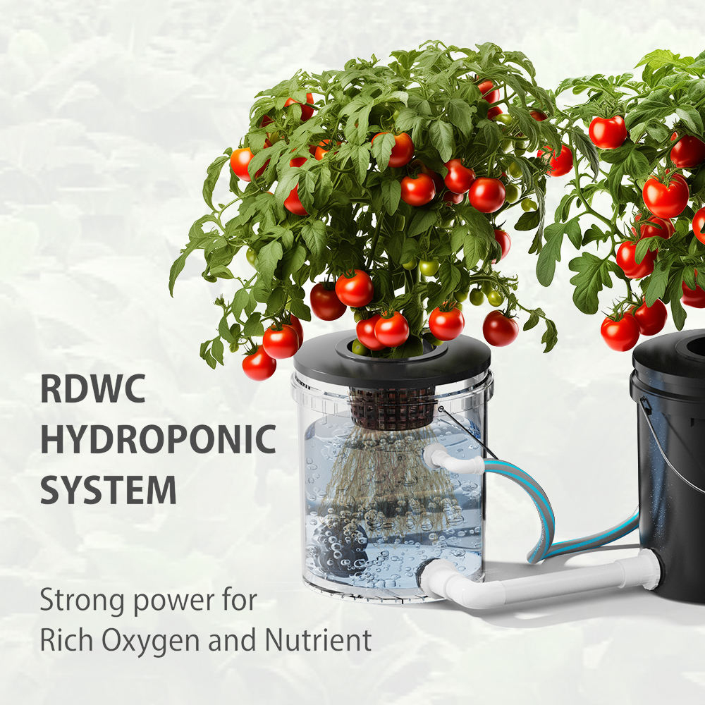 a complete RDWC hydroponic system kit in 7 bucket containers
