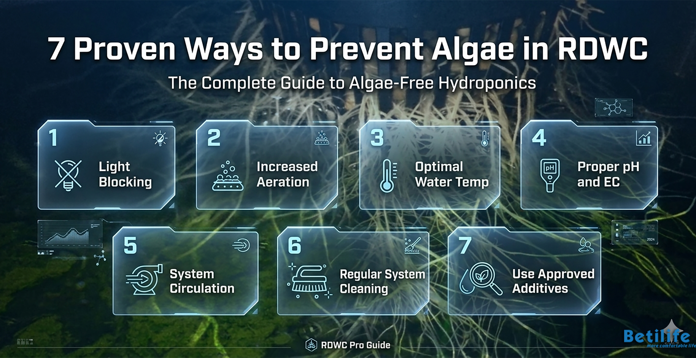 7 Proven Ways to Prevent Algae in RDWC