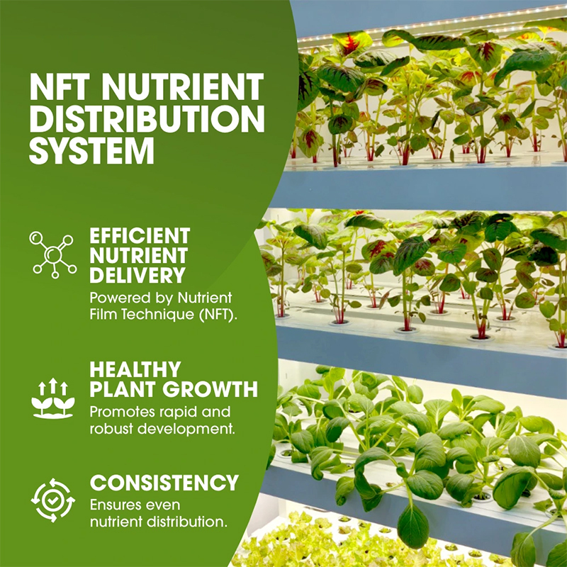 【Pro】72 Pods 76 Pots Germination Bed Hydroponic System Kits 5-Tier Structure Vertical Garden Tower with LED Daylights, Mist Spray, Airflow, Ventilation, and Nutrient Flow Controlled, Timer, Water Cycles. NFT Nutrient Distribution System