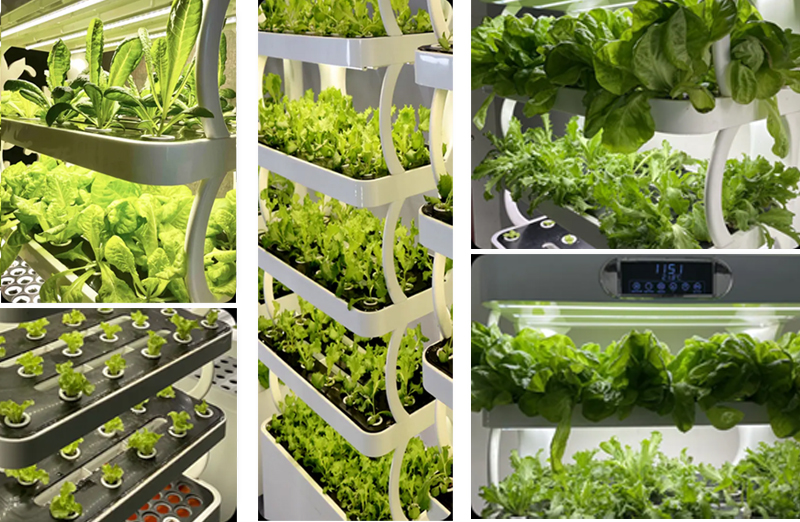 Convenient Indoor Gardening