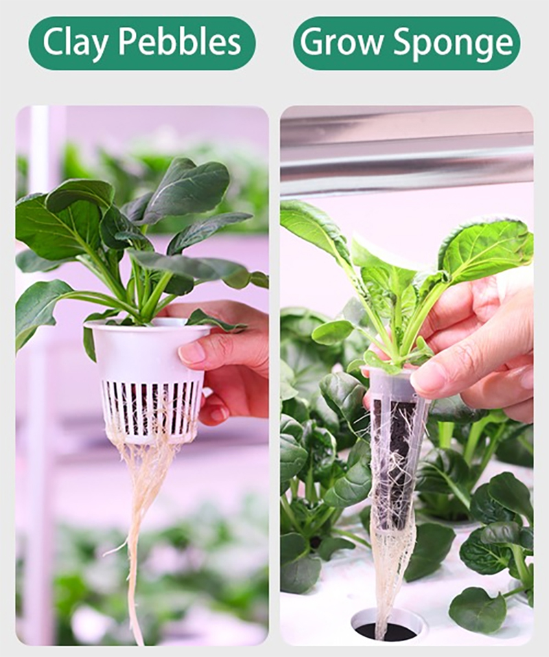 Clay Pebbles or Grow Sponge as Grow Media