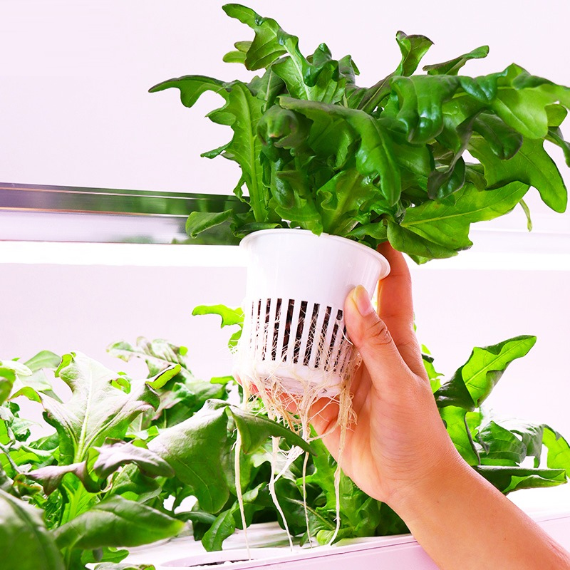 72 Pods Hydroponic Grow System Kits, 4-layer 48L Tank Indoor Smart Vertical Vegetable Garden, Single plant display