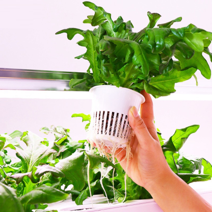 72 Pods Hydroponic Grow System Kits, 4-layer 48L Tank Indoor Smart Vertical Vegetable Garden, Single plant display