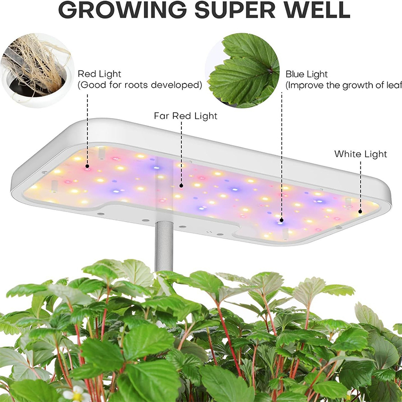 8 Pods Hydroponic System Kit 2.8L Smart Leisure Plant Vegetable, Growing Super well