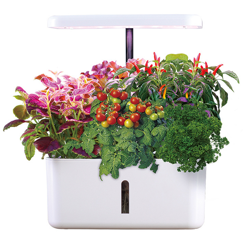 8 Pods Hydroponic System Kit Indoor Outdoor Soilless Garden for Family