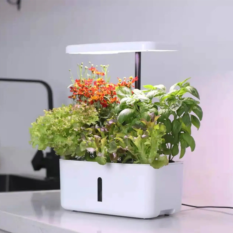 8 Pods Hydroponic System Kit Indoor Outdoor Soilless Garden for Family In the kitchen