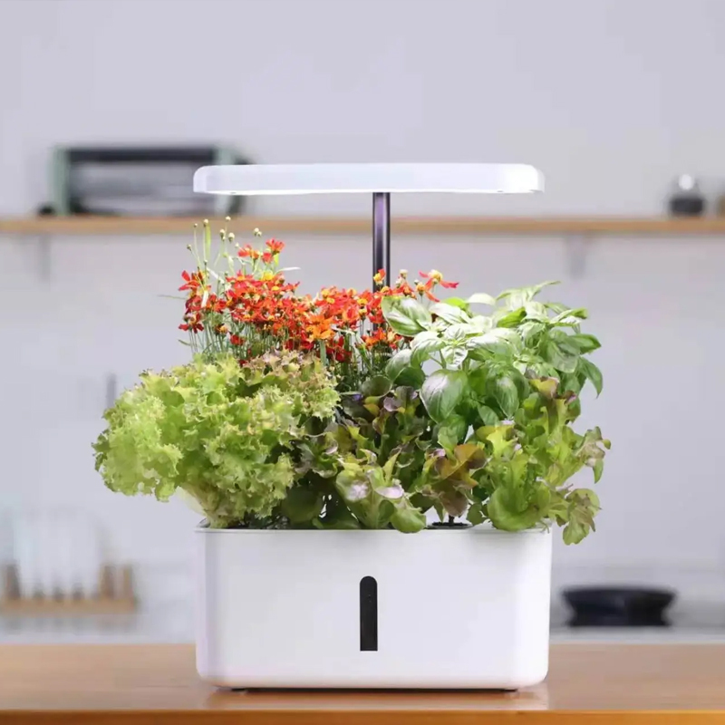 8 Pods Hydroponic System Kit 2.8L Smart Leisure Plant Vegetable In the kitchen