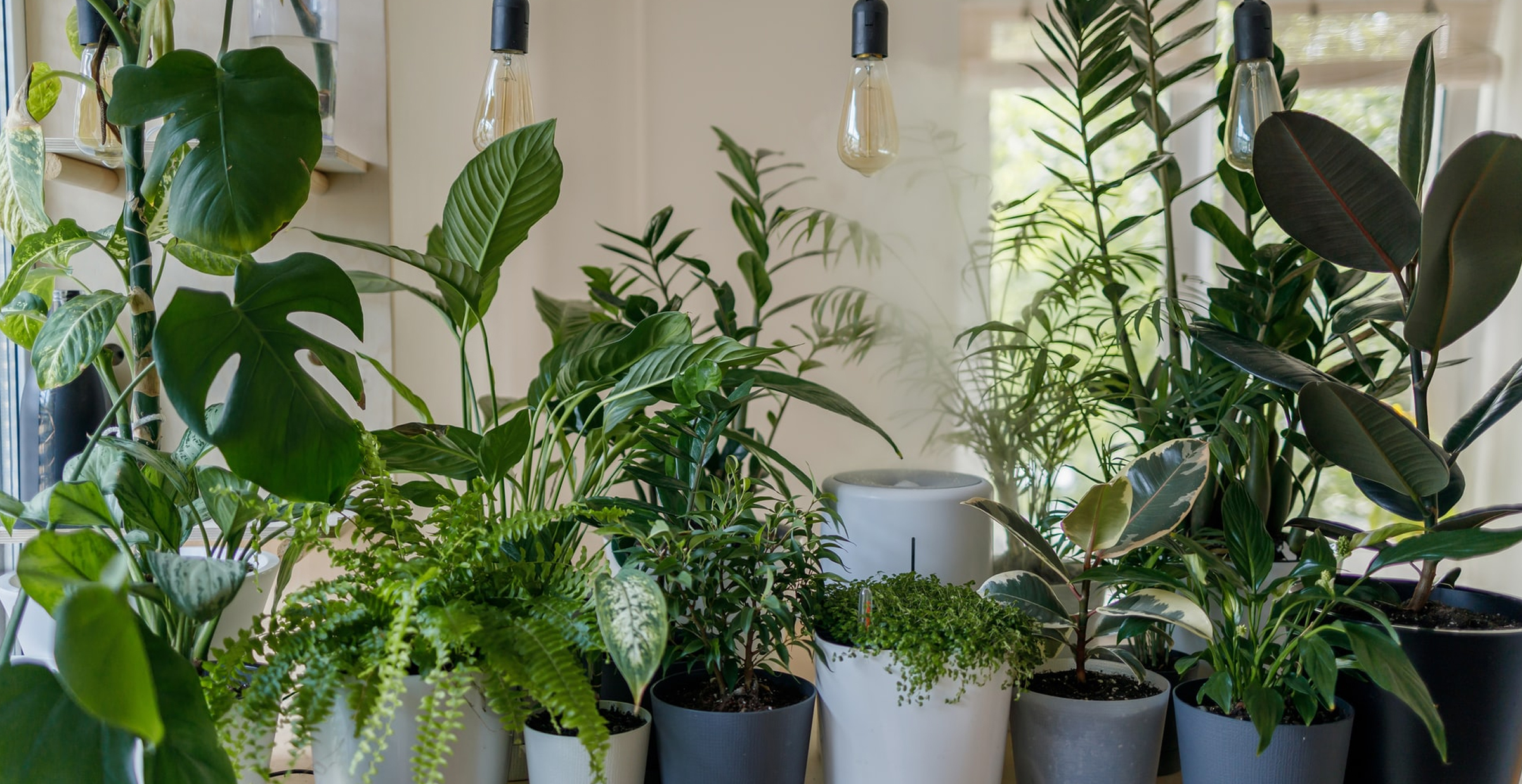 A Hydroponic Wick System