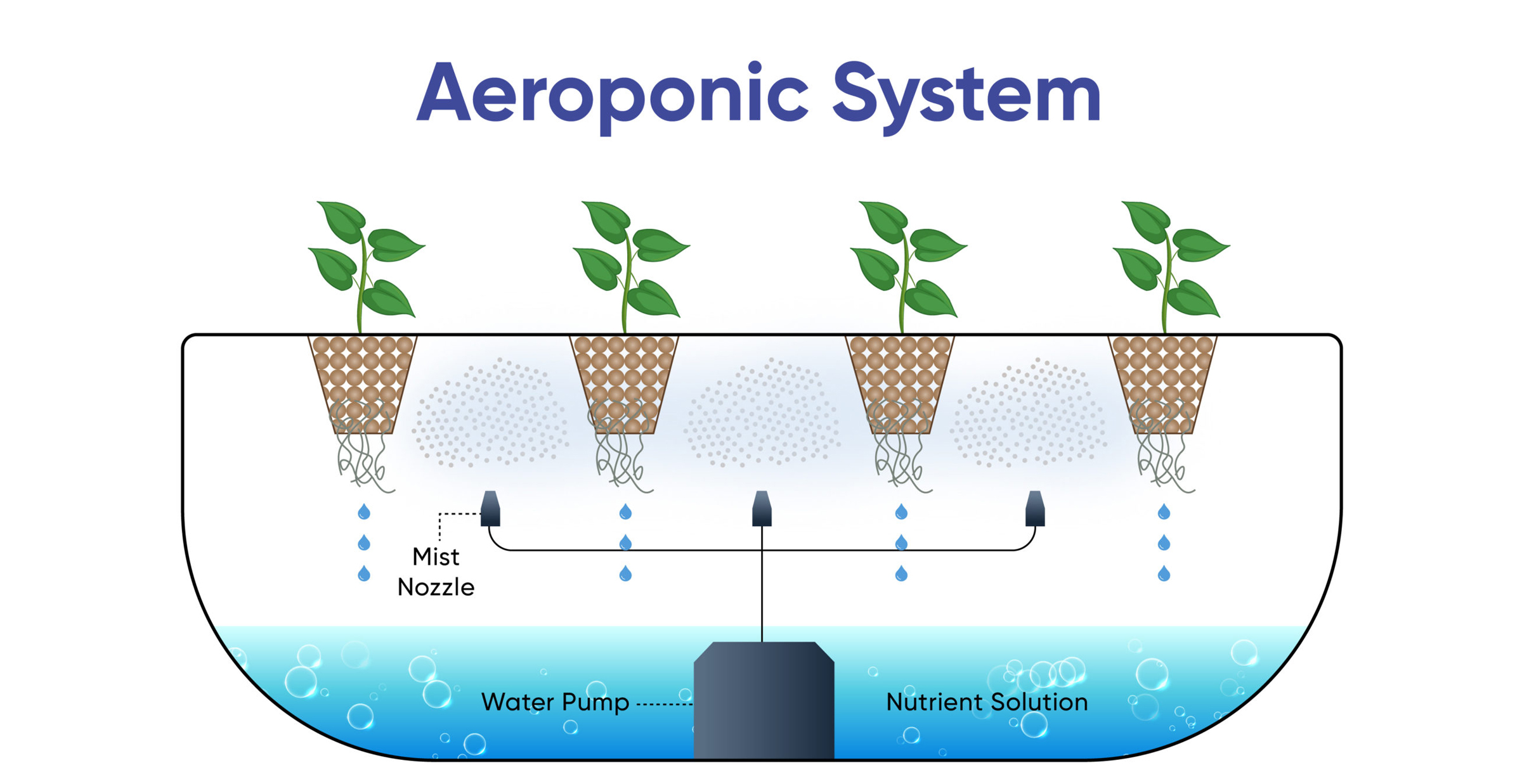 Aeroponic Systems