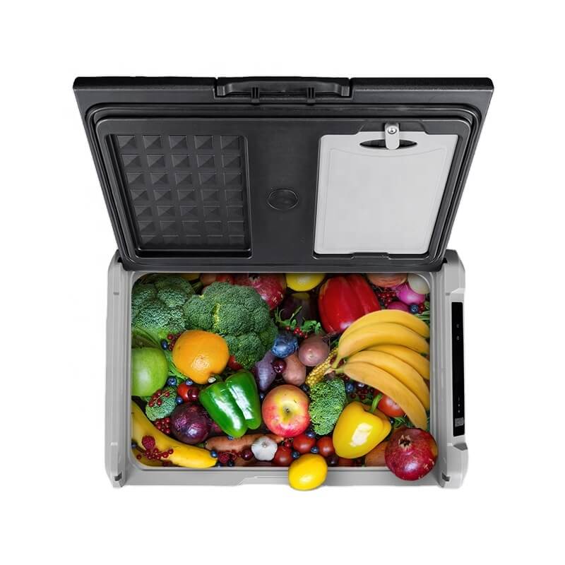 Alpicool TS40/50/60 Car Fridge for Outdoor Fishing or Truck-BetiLife™