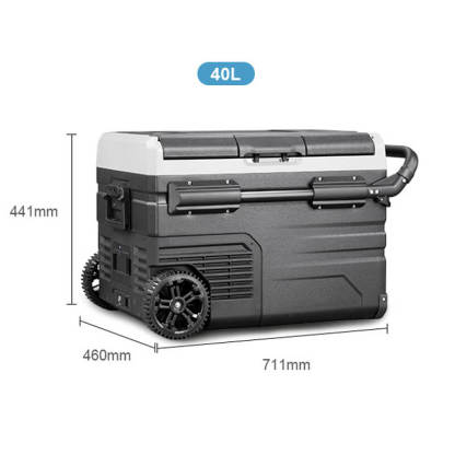 Alpicool TSW40/50/60 Fridge Freezer for Car Truck Boat-BetiLife™