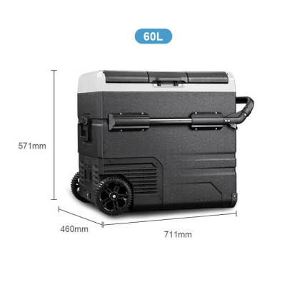 Alpicool TSW40/50/60 Fridge Freezer for Car Truck Boat-BetiLife™