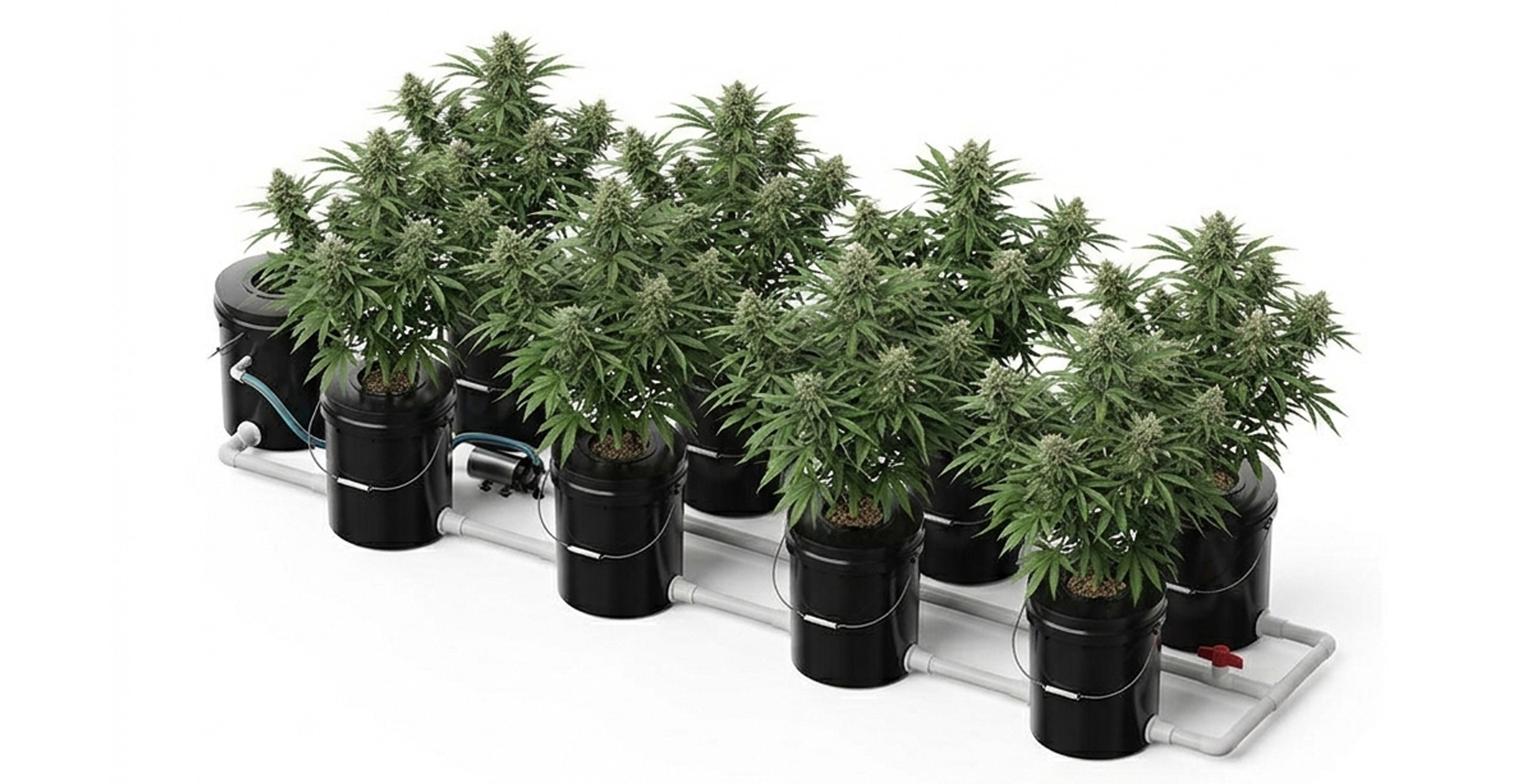 BetiLife&trade; RDWC Hydroponic System 9 Buckets Cannabis Cultivation
