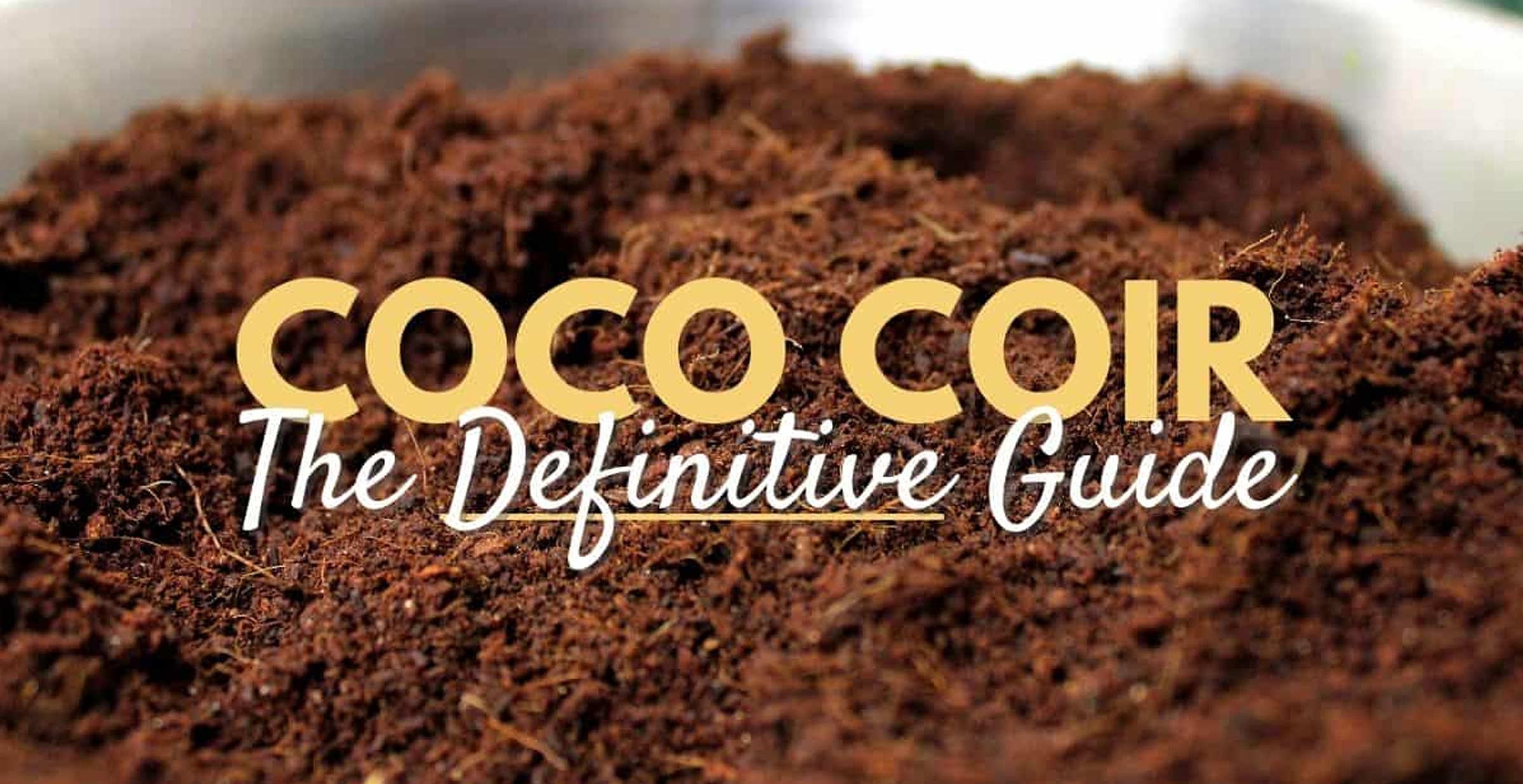 Coconut Coir Hydroponics Guide