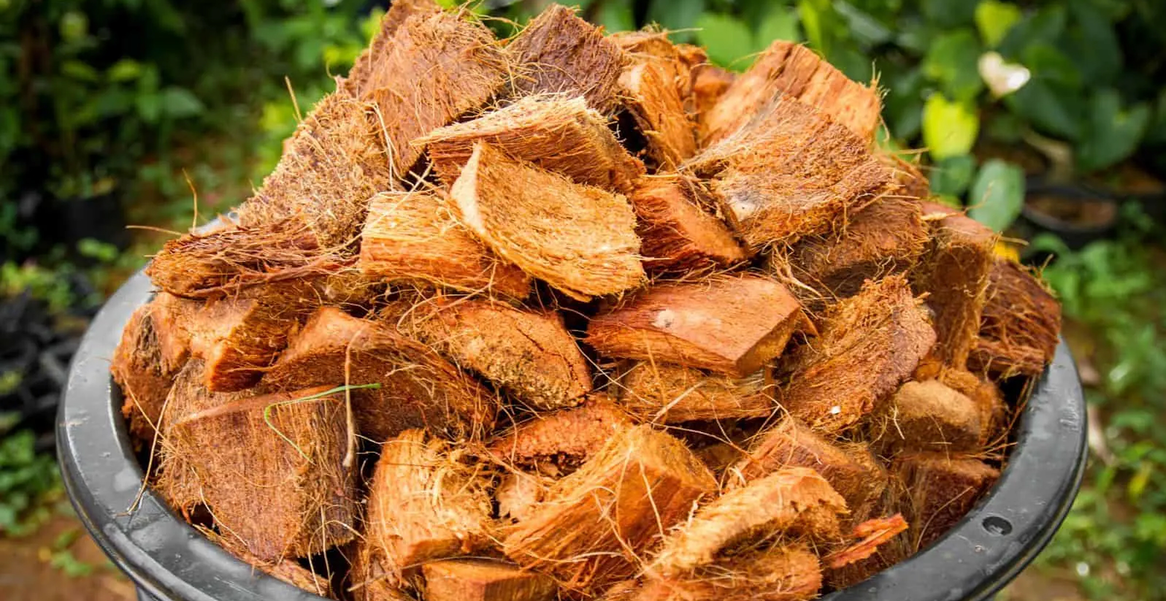 Coco Coir Hydroponics