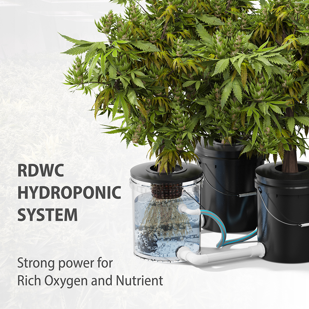 BetiLife&trade; 5-bucket RDWC hydroponic system set