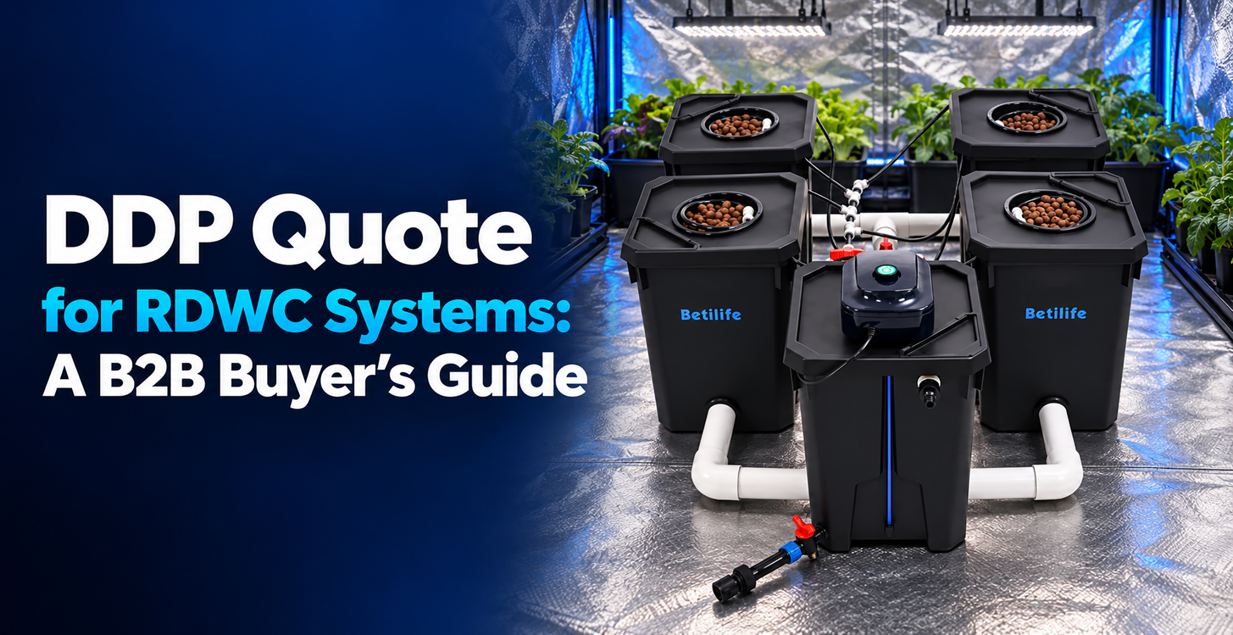 DDP Quote for RDWC Systems: A B2B Buyer’s Guide