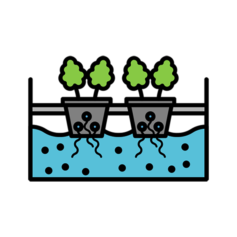 DWC Deep Water Culture Hydroponic System Growing Kits
