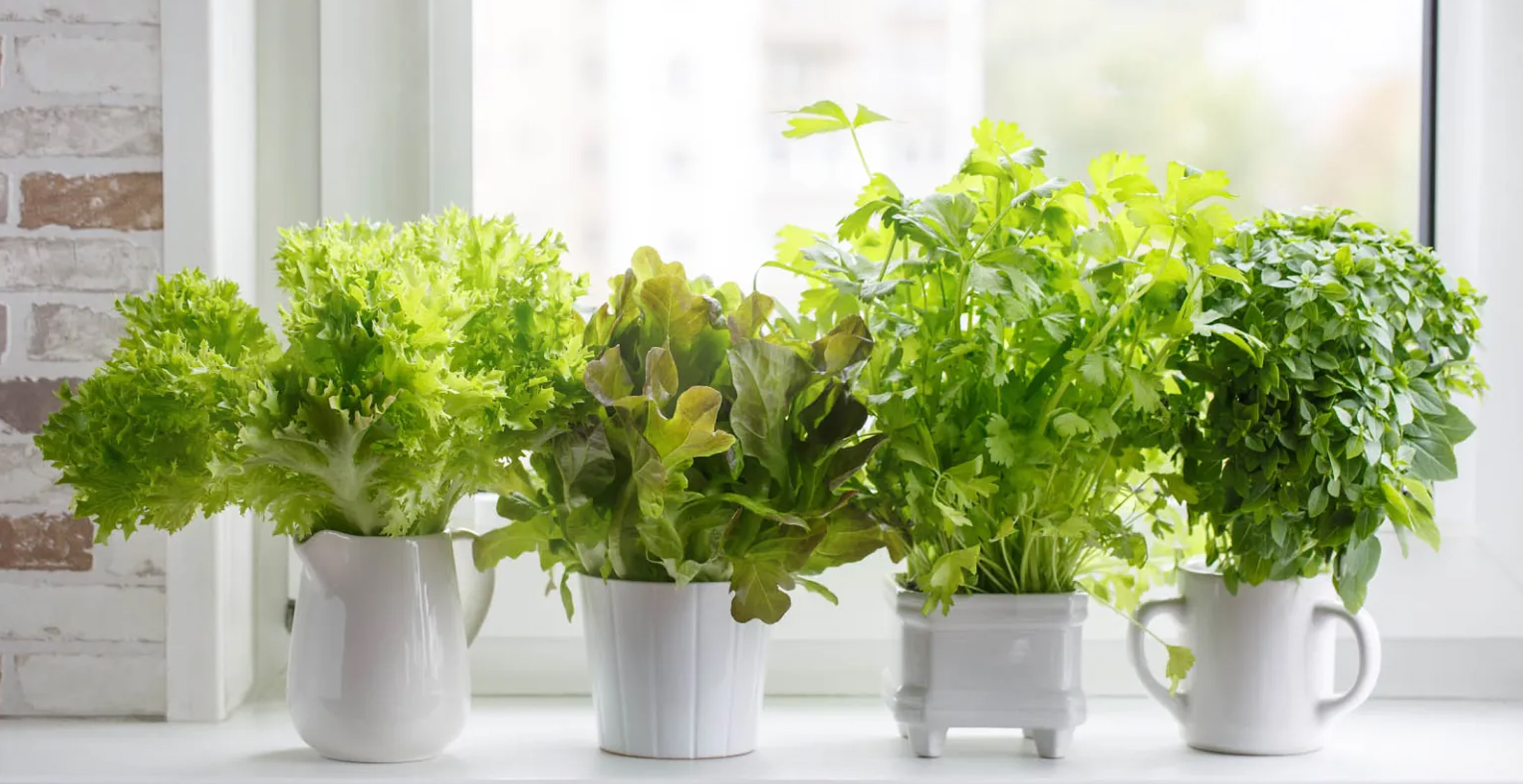 Deep Water Culture (DWC) systems for growing vegetables