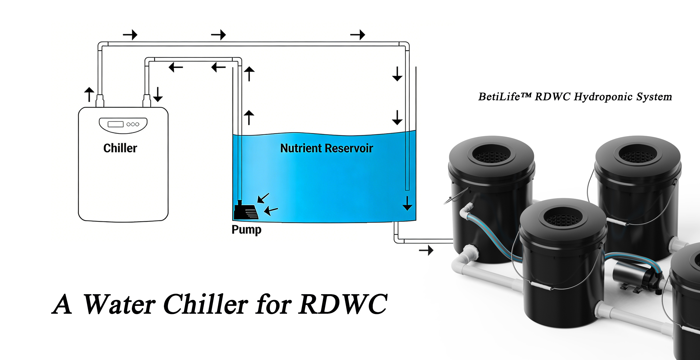 Do you need a water chiller for RDWC