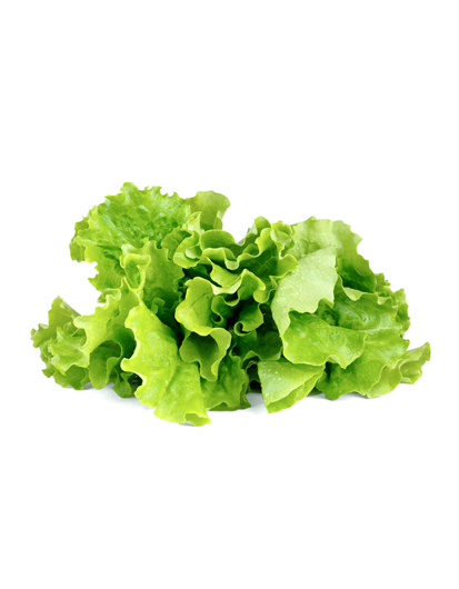 {"default":"Green Lettuce"}
