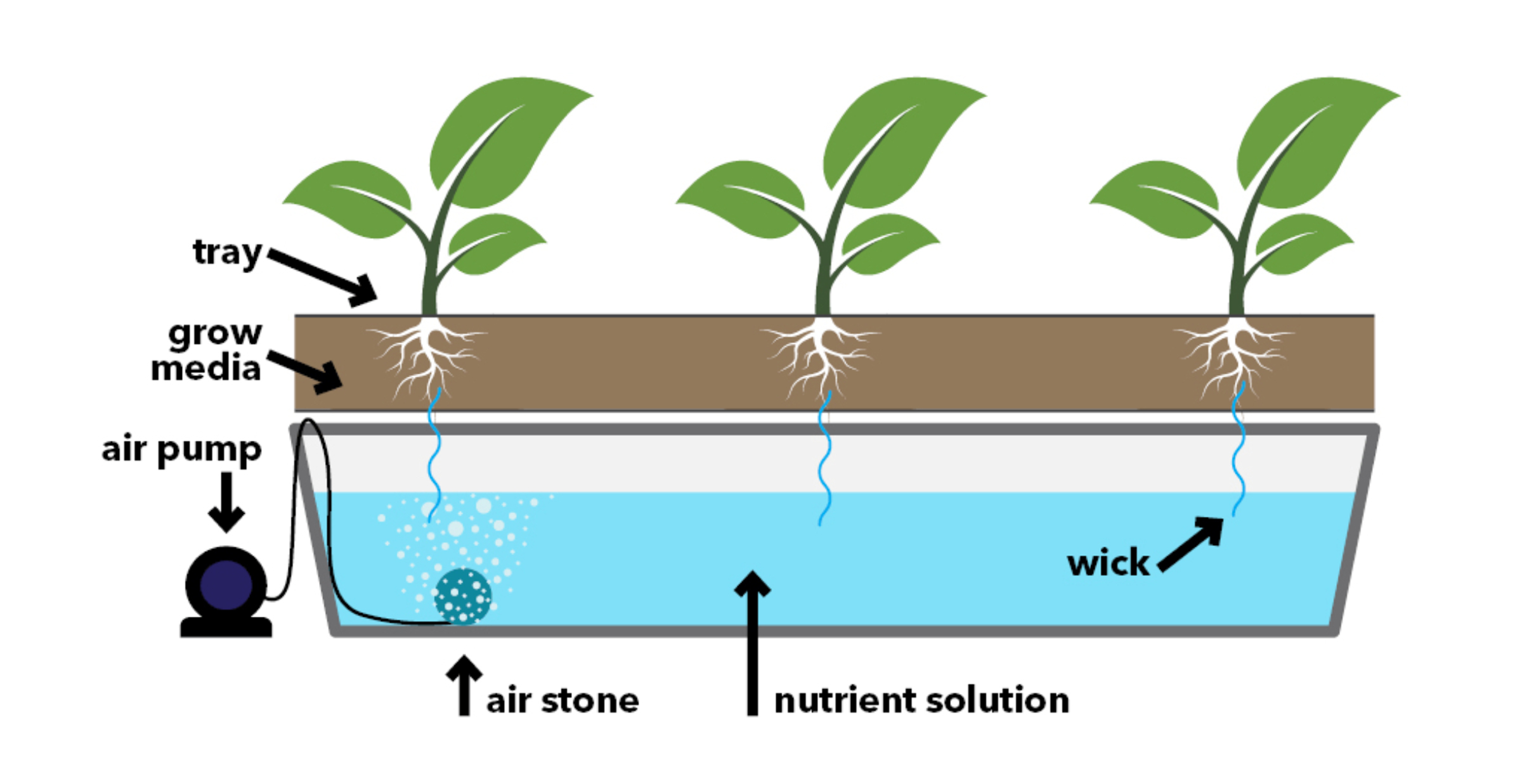 How Does A Hydroponic Wick System Work
