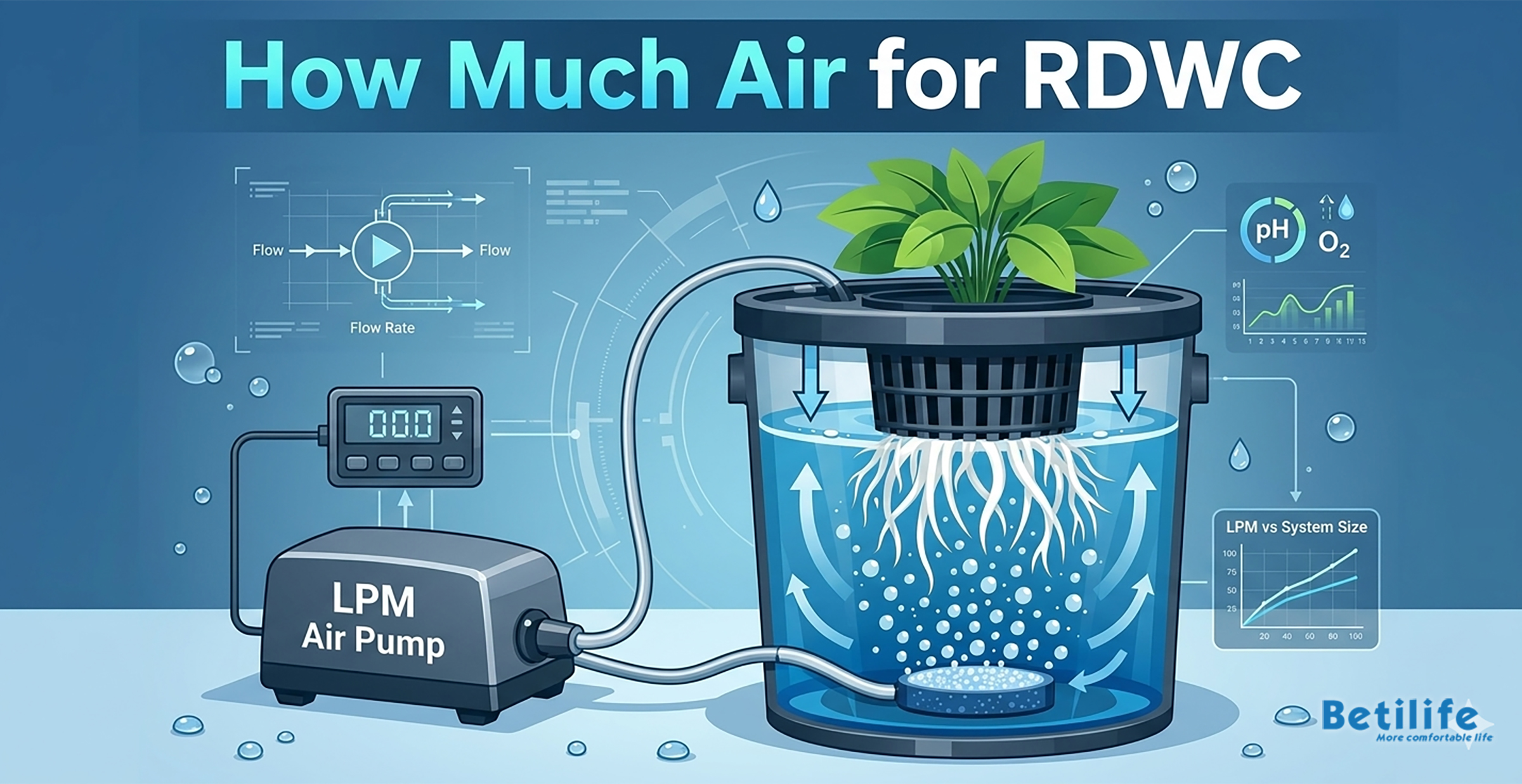 How Much Air for RDWC? Air per Gallon & Hour & Bucket Full Guide